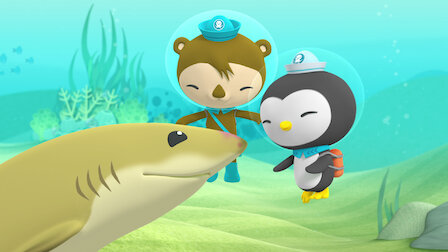 Watch Octonauts | Netflix