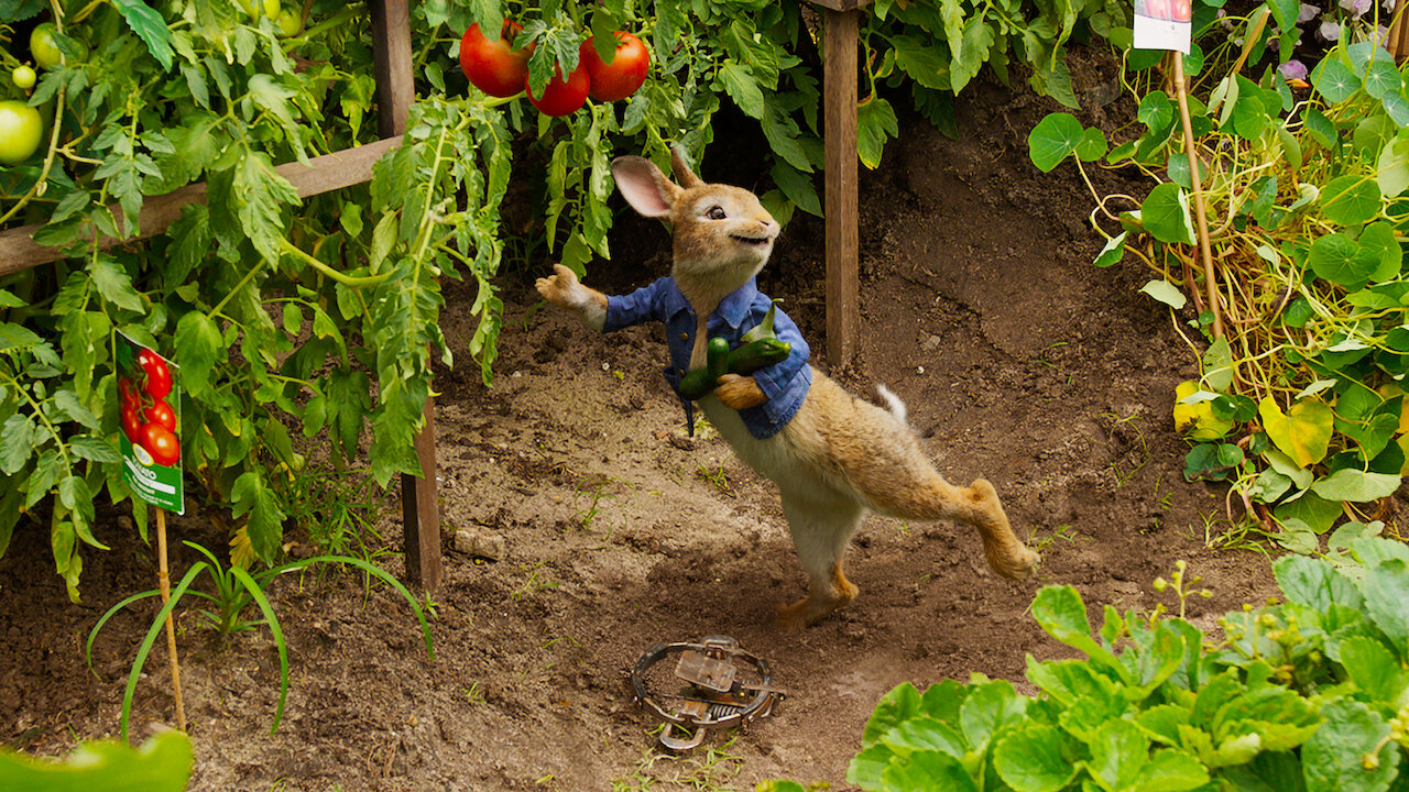 Watch Peter Rabbit Netflix