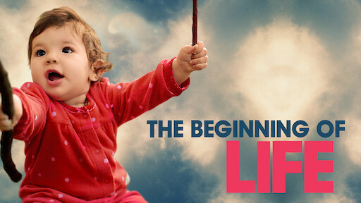 the beginning of life netflix